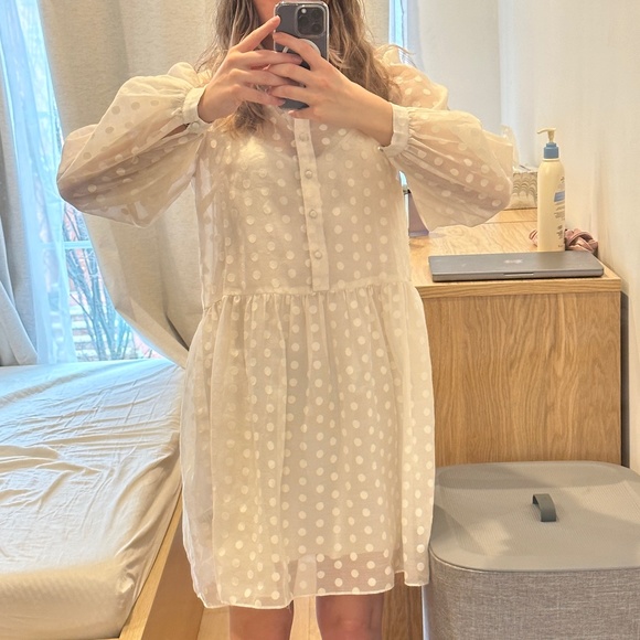 Retro 1960s🦢Swing Sheer Dress - Picture 1 of 5